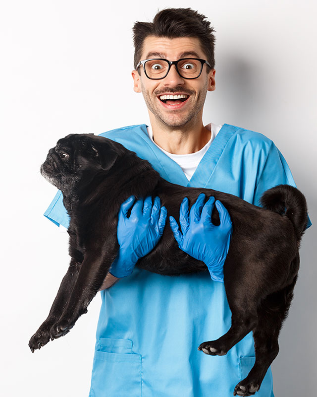 Doctor holding a dog